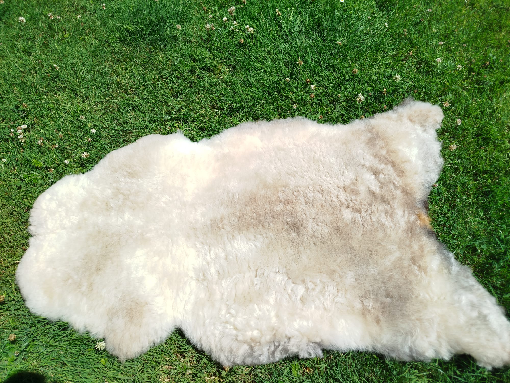 Natural Swedish Sheepskins, High Quality - Image 3