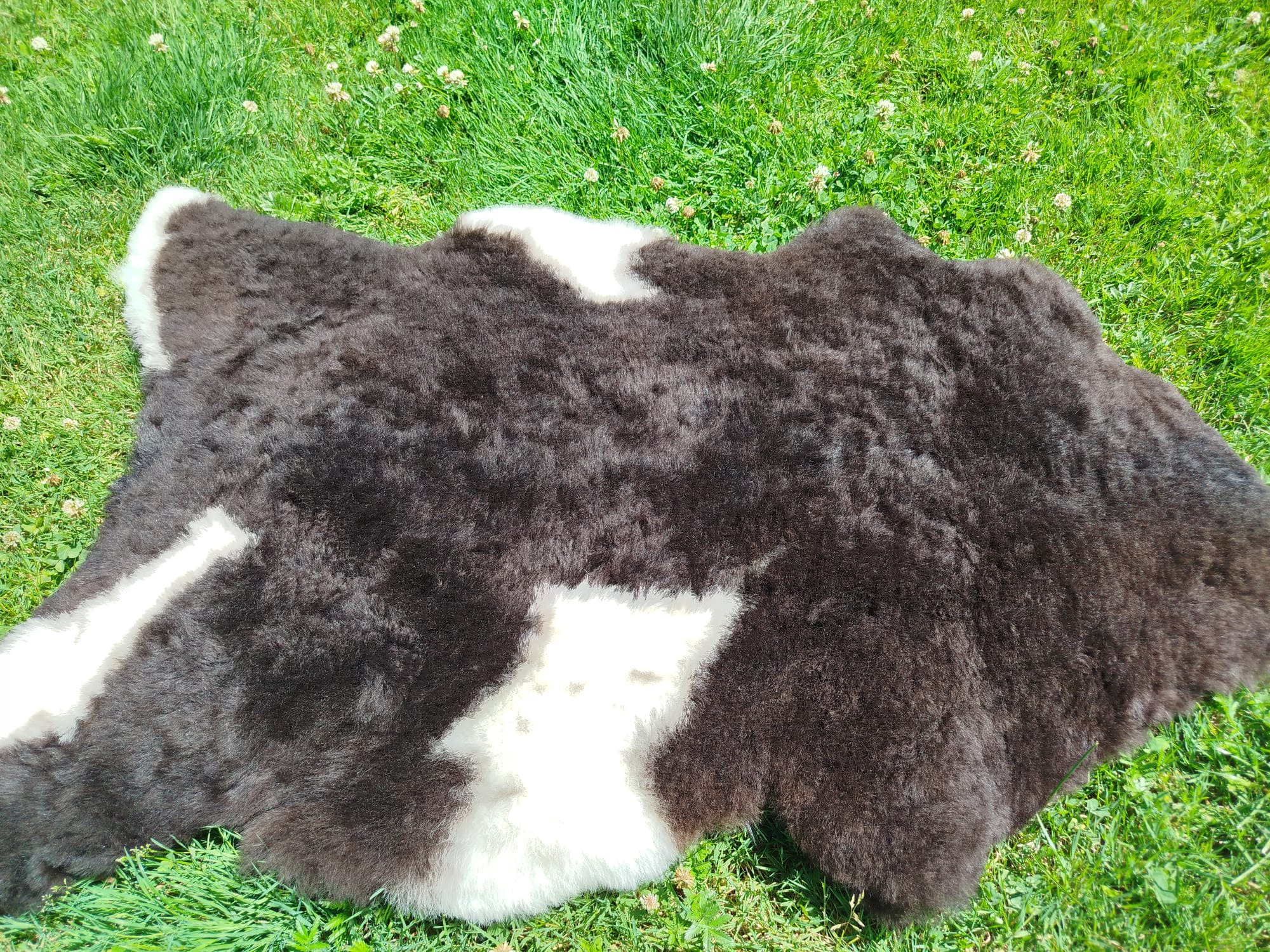 Natural Swedish Sheepskins, High Quality - Image 4
