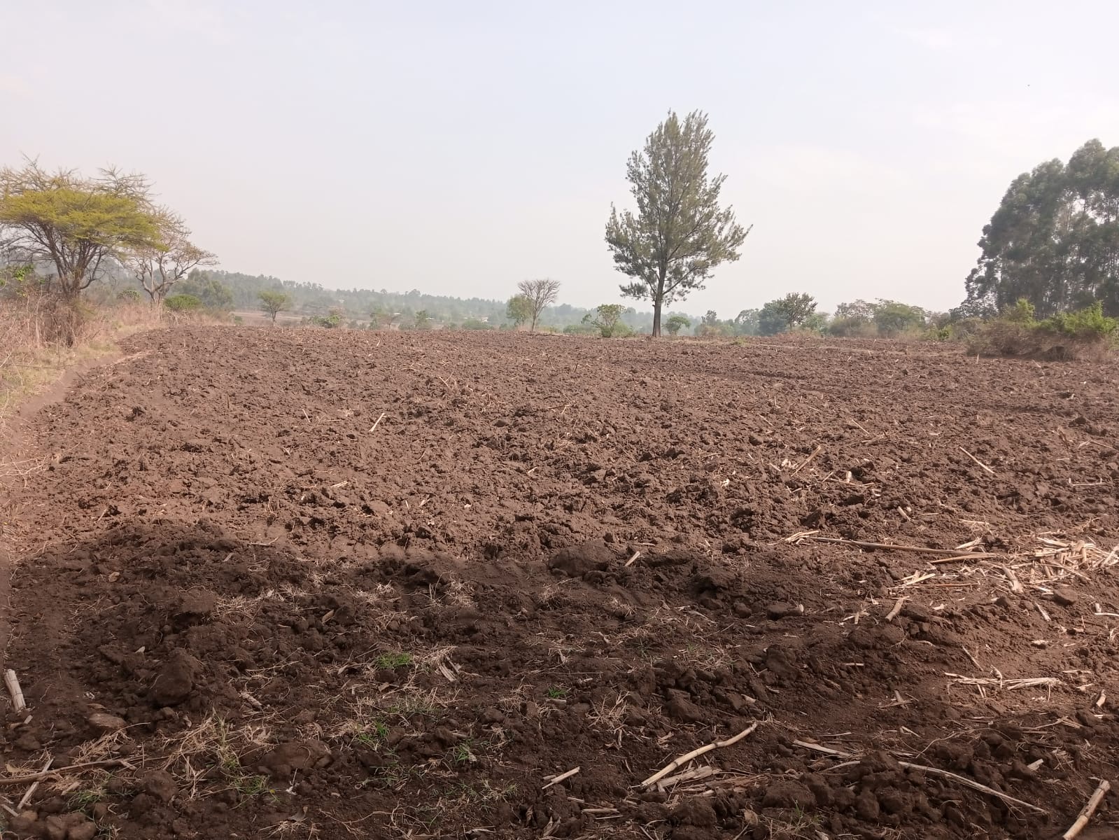 🌿 15 Acres for Sale – Mabusi Scheme, Matunda 🌿 Ksh 2M Only! - Image 3