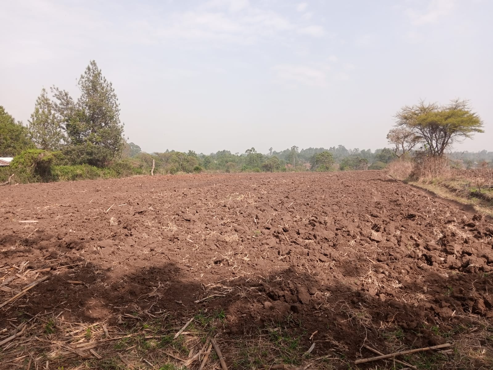 🌿 15 Acres for Sale – Mabusi Scheme, Matunda 🌿 Ksh 2M Only! - Image 1