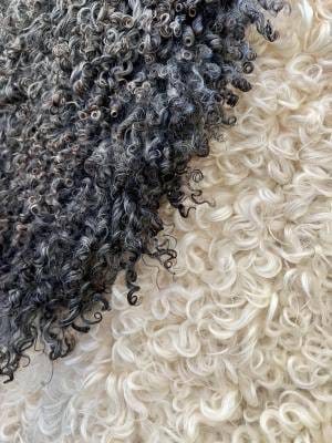 Gotland Sheepskins, Premium - Image 2