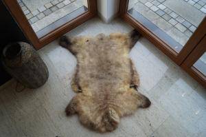 Collection of Meliert Sheepskins, Highest Quality - Image 2