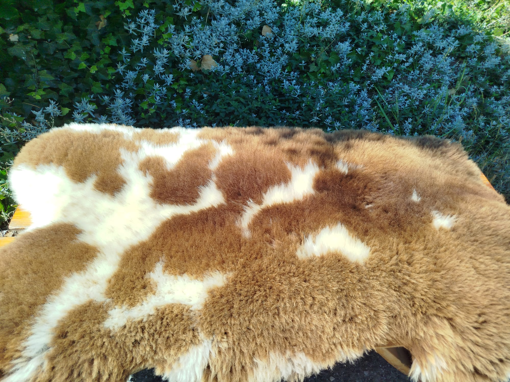 Dutch Sheepskins, Premium - Image 6