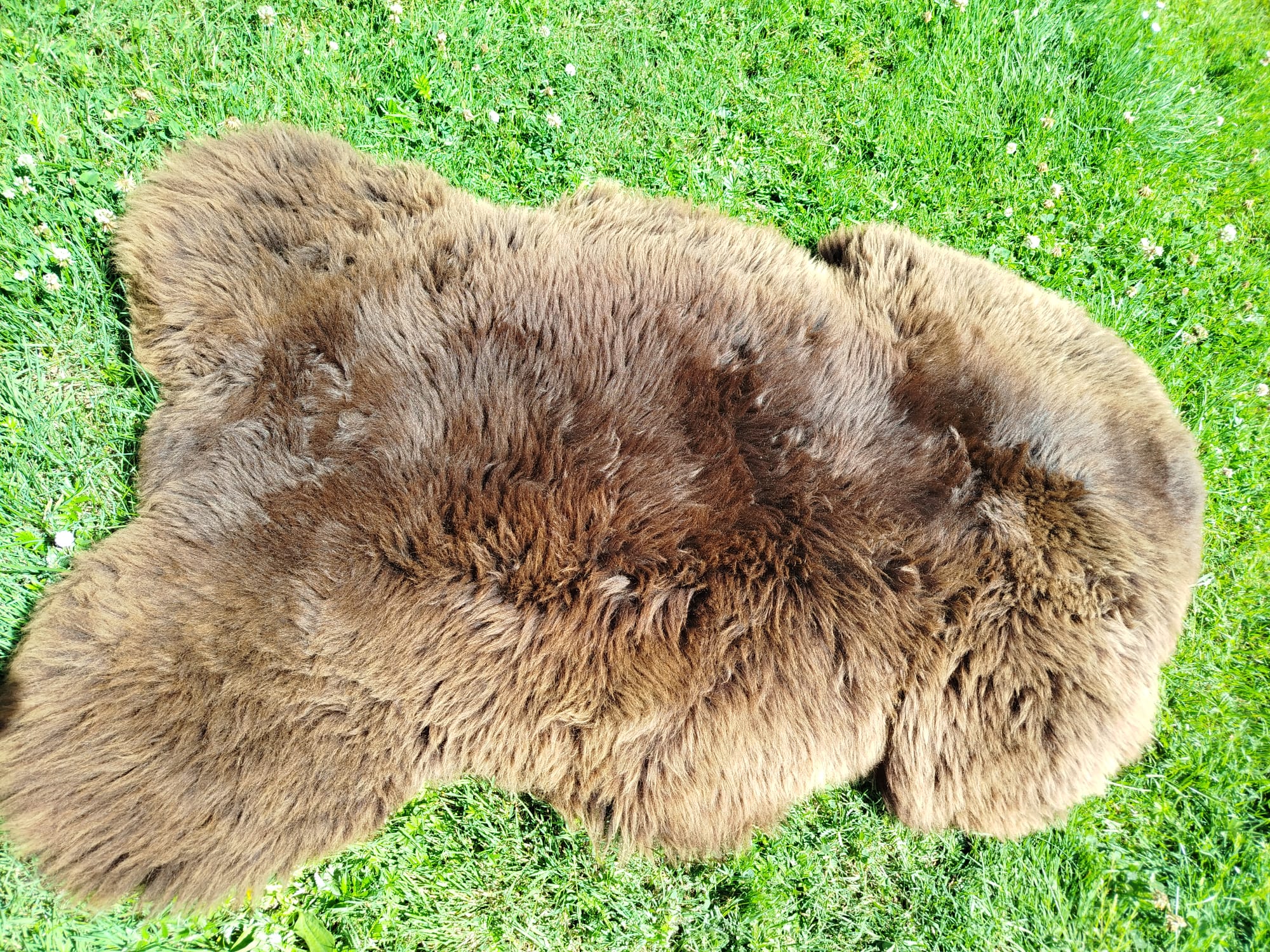 Dutch Sheepskins, Premium - Image 2